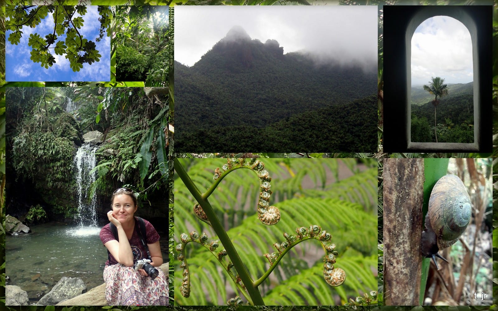 Collage of El Yunque National Forest excusions with the Park Break Program in May 2022_Tanya Iretskaia